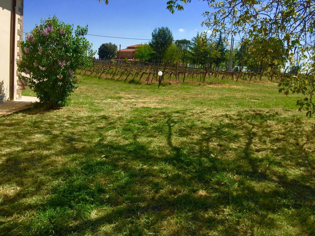 Country House Maremma Nel Tufo Pitigliano Eksteriør billede