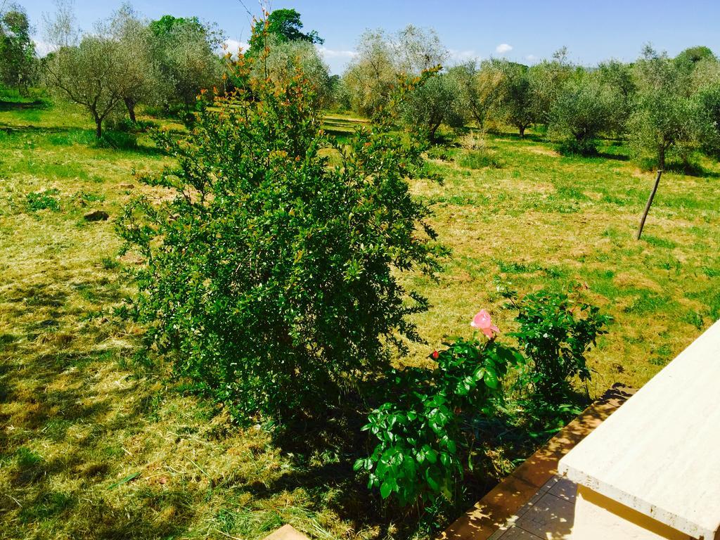 Country House Maremma Nel Tufo Pitigliano Eksteriør billede